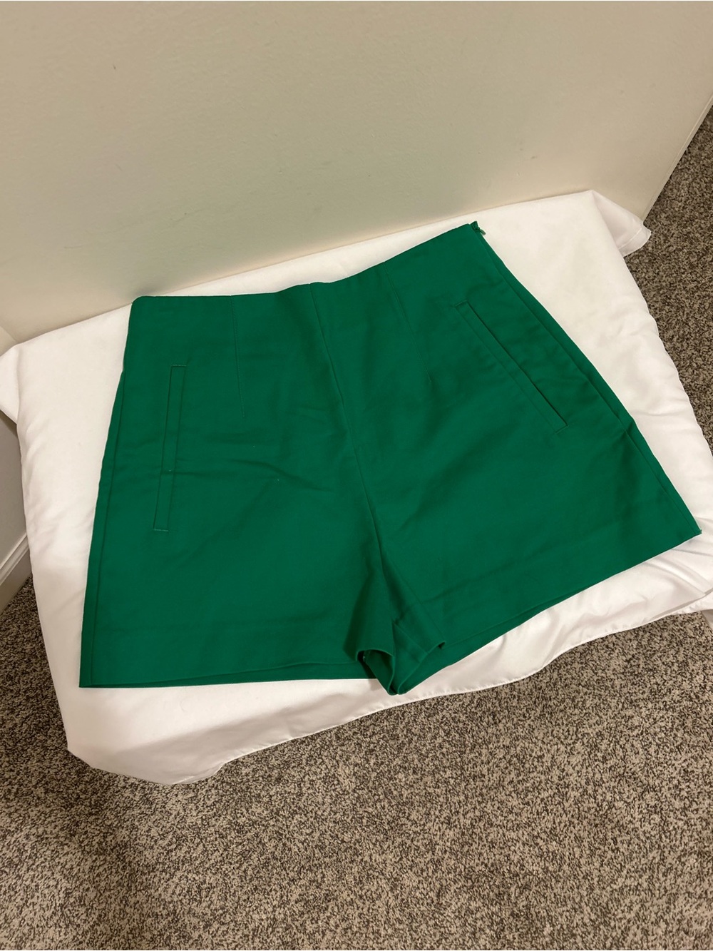 NWT! Zara shorts